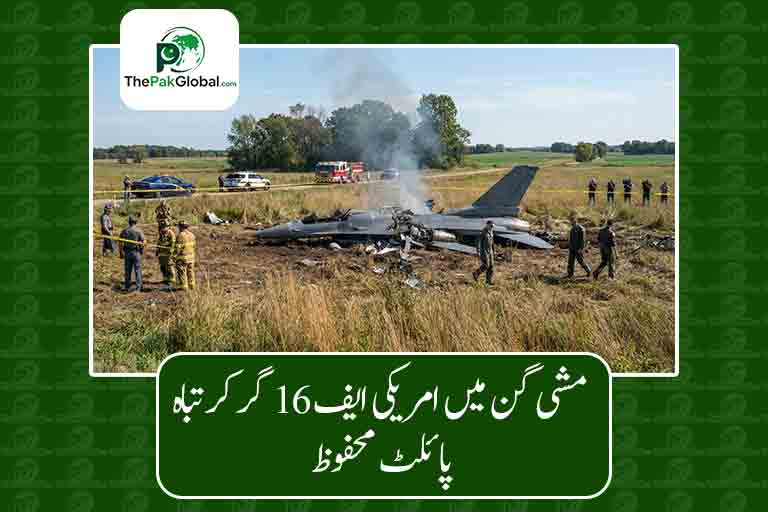 مشی گن میں امریکی ایف 16 گر کر تباہ، پائلٹ محفوظ