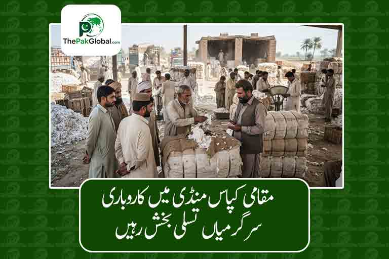 مقامی کپاس منڈی میں کاروباری سرگرمیاں تسلی بخش رہیں