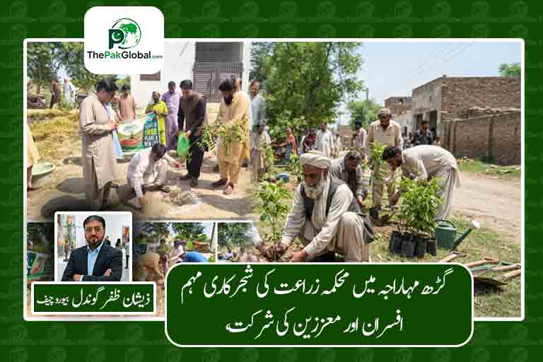 گڑھ مہاراجہ میں محکمہ زراعت کی شجرکاری مہم، افسران اور معززین کی شرکت