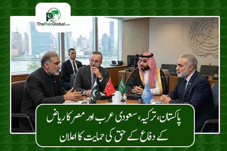 پاکستان، ترکیہ، سعودی عرب اور مصر کا ریاض کے دفاع کے حق کی حمایت کا اعلان